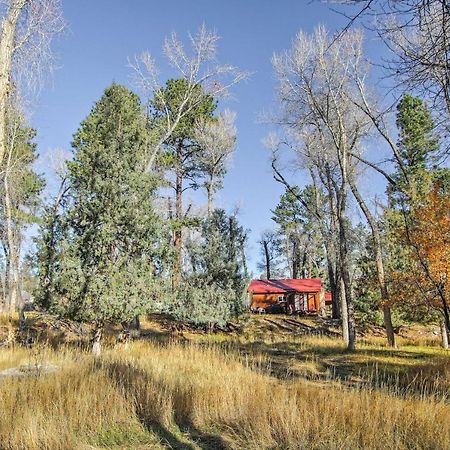 Cozy Colorado Cabin With Deck, Grill And River Access! Буена Виста Екстериор снимка