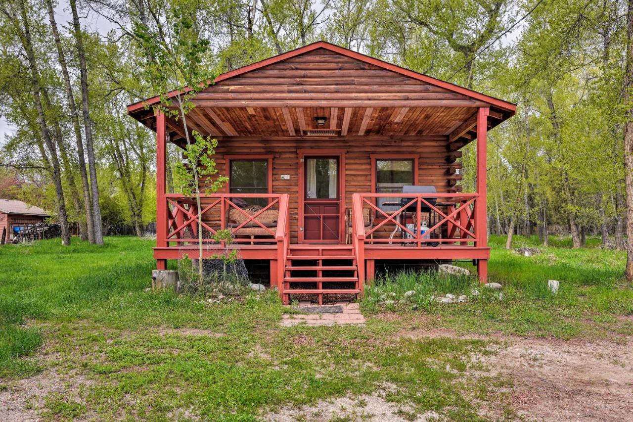 Cozy Colorado Cabin With Deck, Grill And River Access! Буена Виста Екстериор снимка