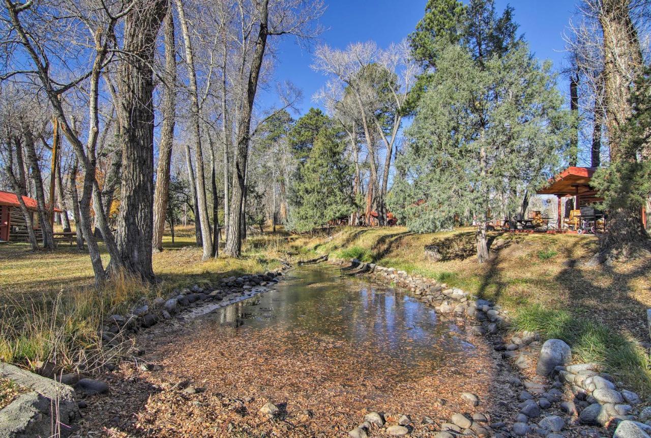Cozy Colorado Cabin With Deck, Grill And River Access! Буена Виста Екстериор снимка
