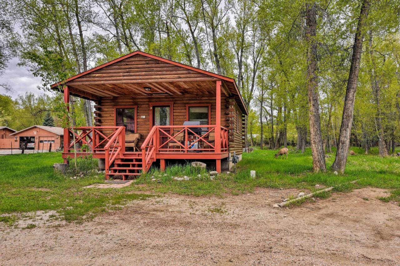 Cozy Colorado Cabin With Deck, Grill And River Access! Буена Виста Екстериор снимка